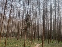 -河南省黄河迎宾馆