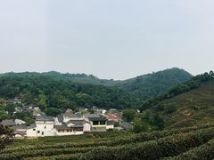 -龙井村