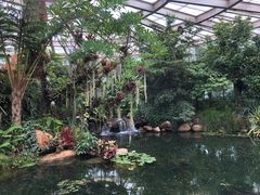 -昆明植物园