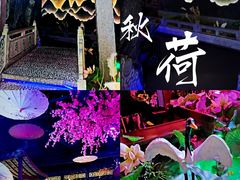 -韵秋荷(宝山龙湖天街店)