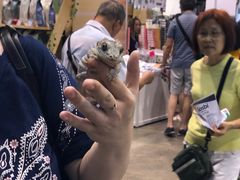-香港会议展览中心演讲厅
