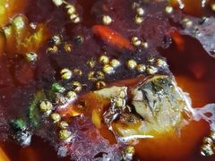 邮亭鲫鱼-曾老幺鱼庄(龙华商厦店)