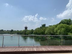 -白浪绿洲湿地公园