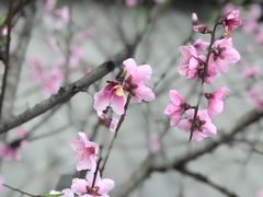 -乌山风景区