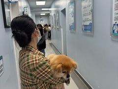 -中国农业大学动物医院