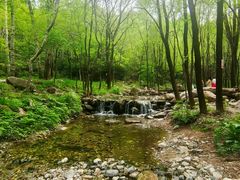 -玉渡山自然风景区