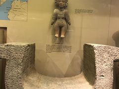 -美国自然历史博物馆