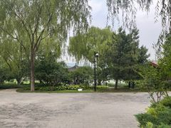 -北坞公园