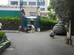 -曲阳花鸟市场(曲阳路店)