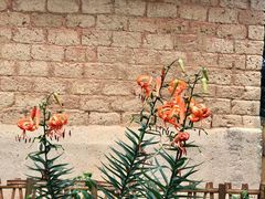 -韶山毛泽东同志故居