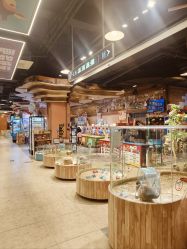 -卡通尼·Safari非洲探索乐园·生日会(金桥国际商业广场店)