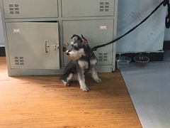 -拳盛时代拳击俱乐部(北京路店)