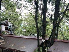 -巴倒烫陆派重庆火锅(南山店)
