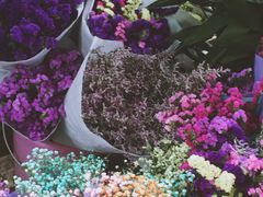 -桂林市花鸟市场