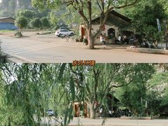 -村上春树