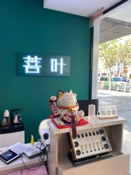-菩叶脱发白发中心