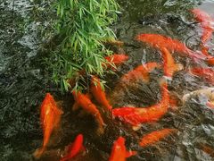 -龙游石窟