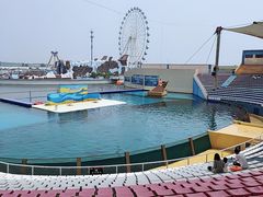 -秦皇岛乐岛海洋王国