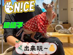 -啵啵喵·猫咖(攀华国际店)