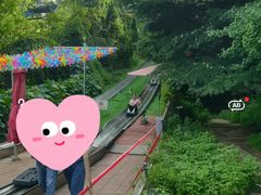 -富斯特索道
