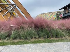 -中国天府农业博览园