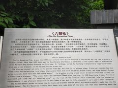 -泰州凤城河风景区-泰山公园