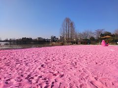 -张公山寨景区