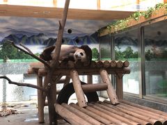 -西安秦岭野生动物园