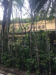 -华侨城洲际大酒店·宴会厅