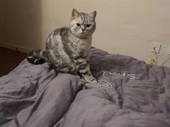 -佳雯宠物医院(金华南路分院)