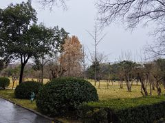 -河南师范大学(主校区)