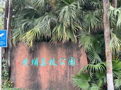 -黄埔荔枝公园