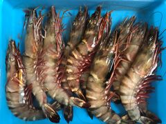-ZF Seafood Restaurant 卓峰海鲜餐