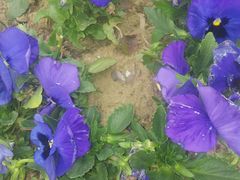 -白塘生态植物园