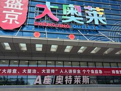 -盛京大奥莱(沈阳奥体店)