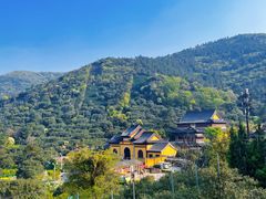 -树山生态村
