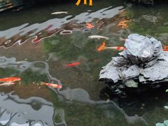 -广州白天鹅宾馆