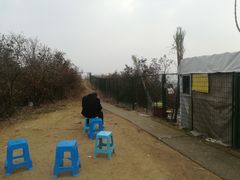 -峙山公园