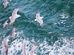 -海驴岛(荣成市)