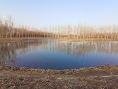 -东郊湿地公园