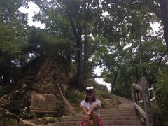 -王顺山国家森林公园