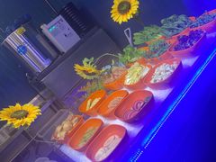 -罗马假日海鲜自助餐厅(星湖广场店)