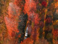 -黄海国家森林公园