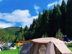 -武陵山森林公园