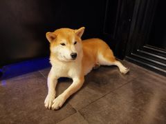 -瞳·实景密室逃脱(护国店)