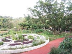 -广西壮族自治区药用植物园