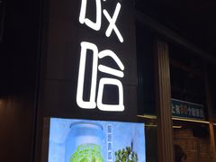 门面-放哈·甜醅子奶茶创造者(正宁路店)