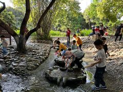 -成都市活水公园