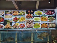 -崂山水果园农家宴(泉水鸡店)