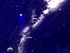 -SPACE(欢乐颂购物中心店)